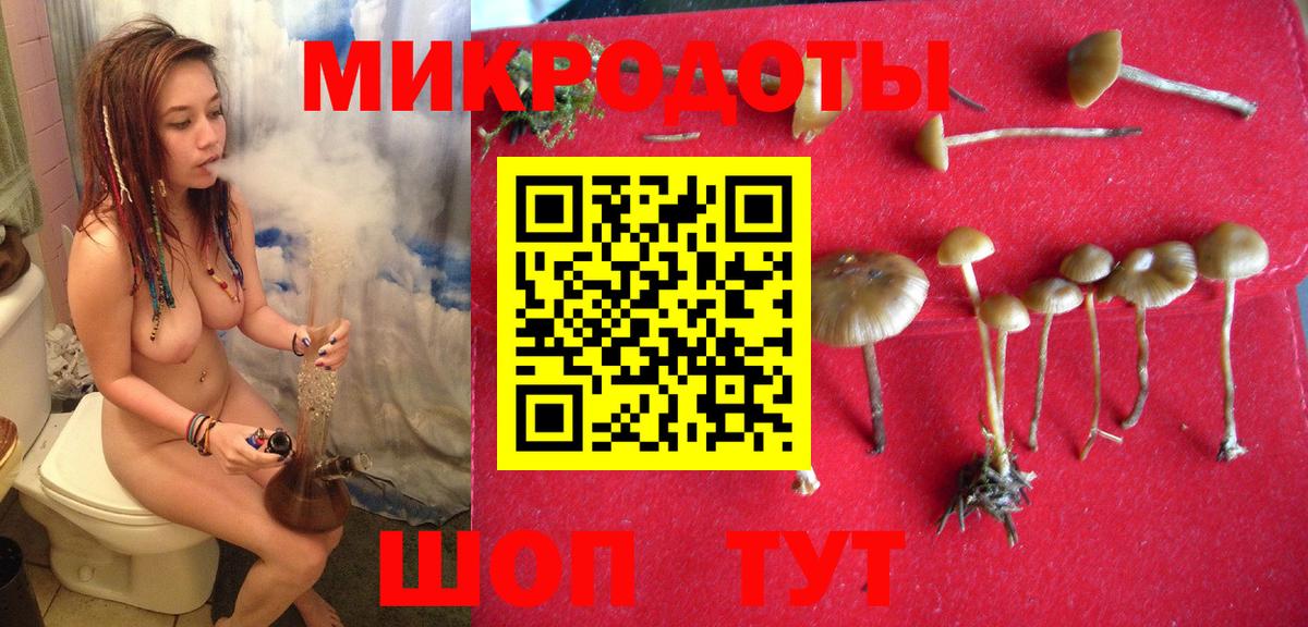 Псилоцибиновые грибы ЛСД Холмск