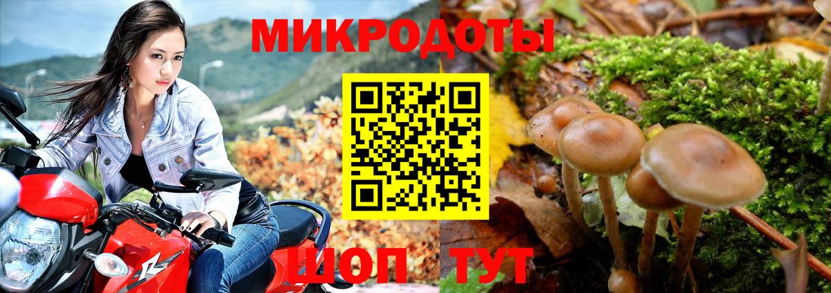 Холмск  Псилоцибиновые грибы мухоморы  Псилоцибиновые грибы мухоморы  Вход с VPN 